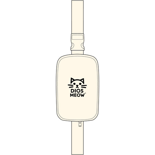 Embroidered Explorer Sling Bag